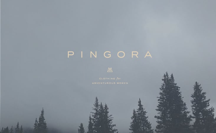 Pingora_blog-01